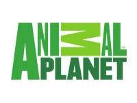 Animal Planet 1