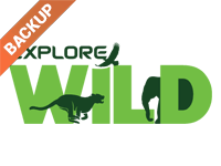 Explore Wild 1